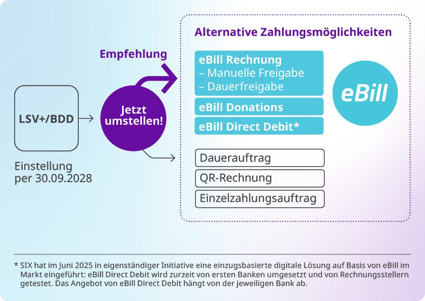 Grafik, die die alternativen Zahlungsmöglichkeiten für LSV+/BDD zeigt.