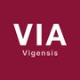 Vigensis GmbH logo