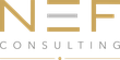 Nef Consulting logo