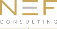 Supplier 6745 | Nef Consulting